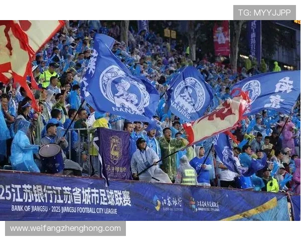 南京足球队携手变革提升配合默契引发热议与期待