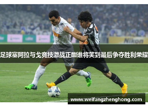 足球塞阿拉与戈竞技激战正酣谁将笑到最后争夺胜利荣耀